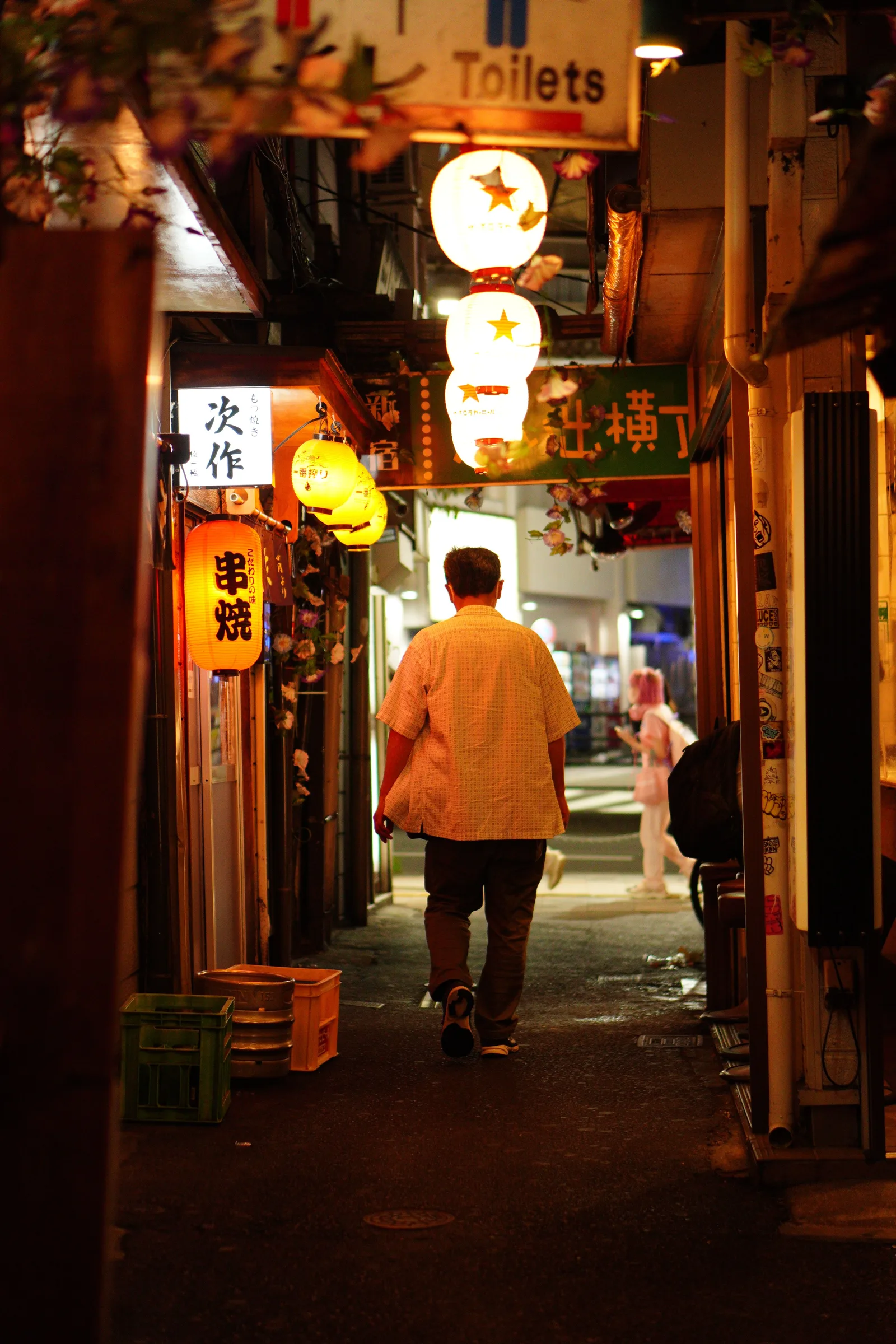 Omoide Yokocho, Shinjuku